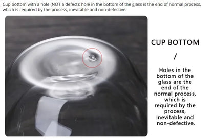 Double Wall Glass Cup