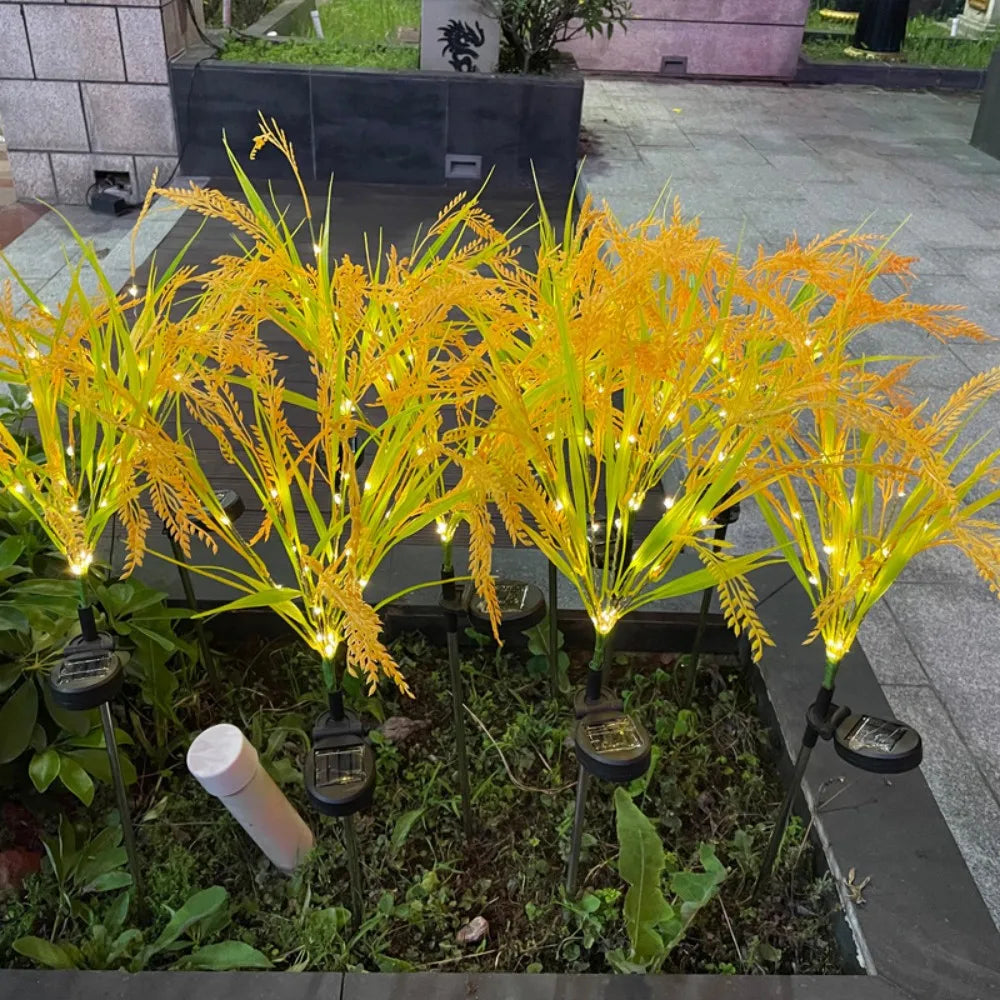 Solar powered wheat light