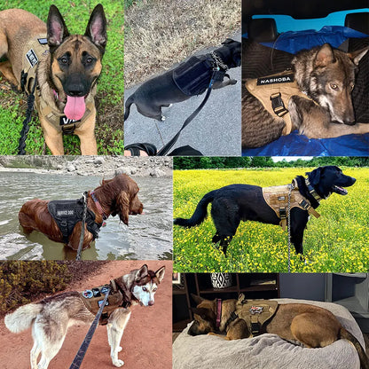Dog Harness, Walking Vest  And Leash Set