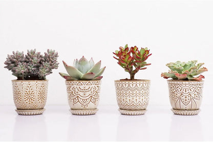 Set of 4 Ceramic Plant Pots