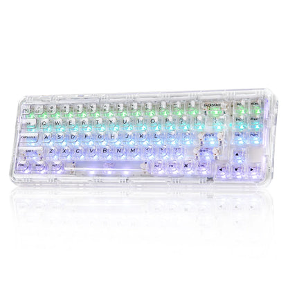 Transparent Gaming Keyboard with Clear Keycaps