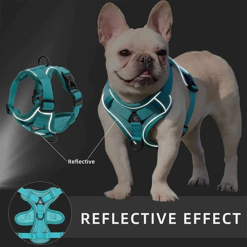 No Pull Pet Harness and Leash Set