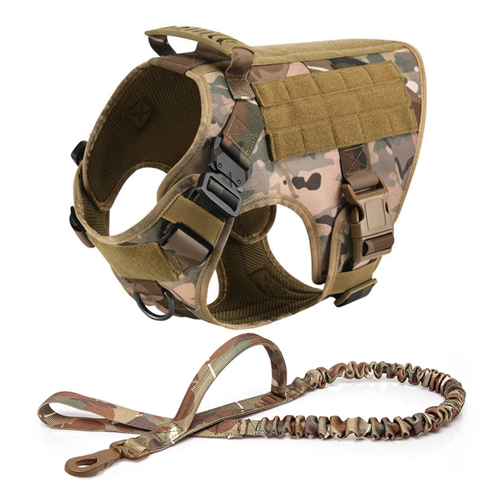 Dog Harness, Walking Vest  And Leash Set
