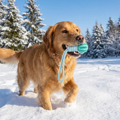 Cotton Rope & Rubber Chew Ball