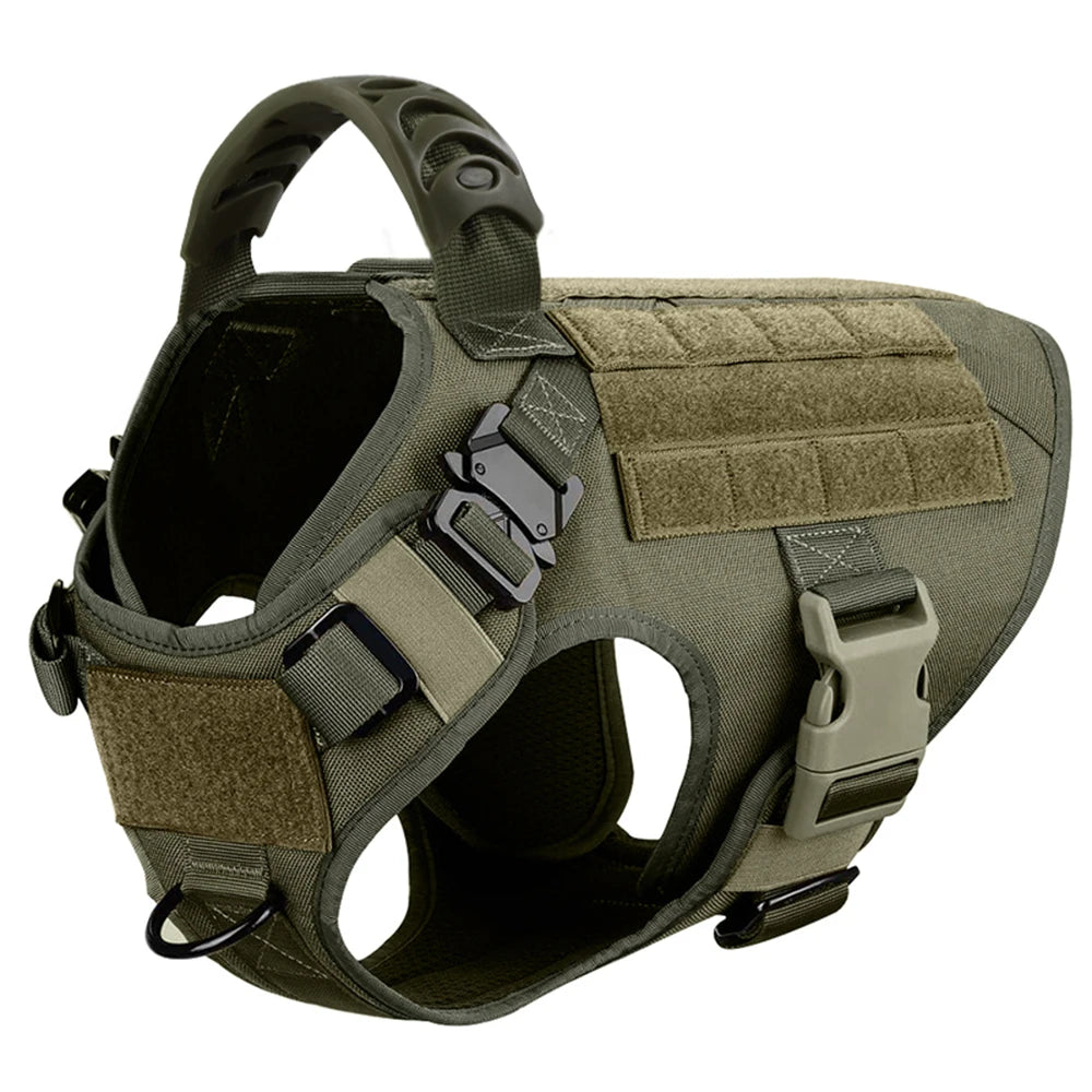 Dog Harness, Walking Vest  And Leash Set