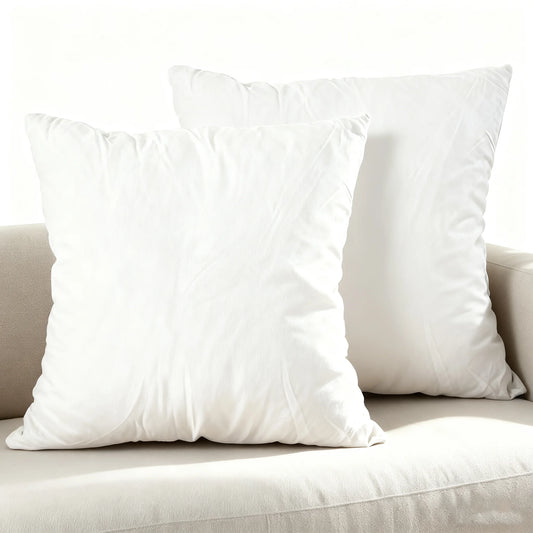2PCS 18 x 18 in Decorative Pillow Inserts