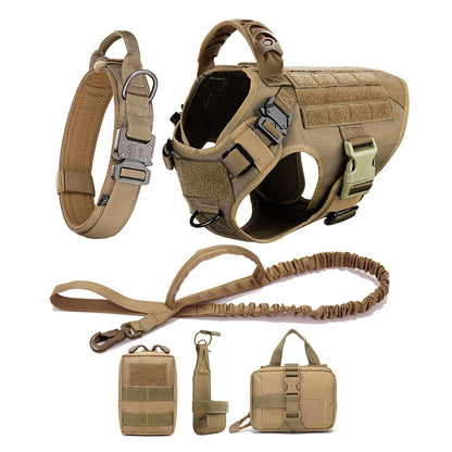 Dog Harness, Walking Vest  And Leash Set
