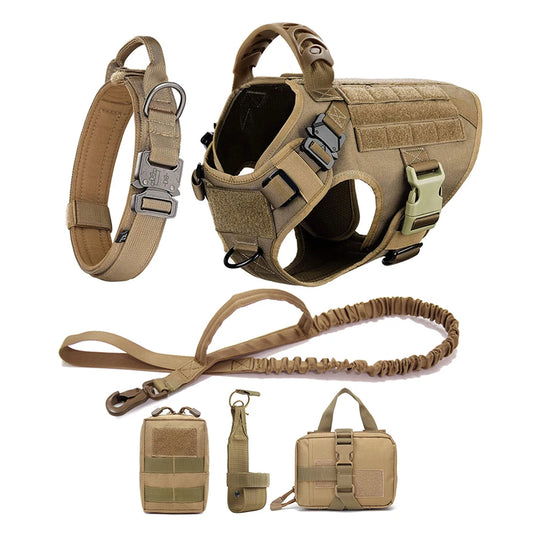 Dog Harness, Walking Vest  And Leash Set