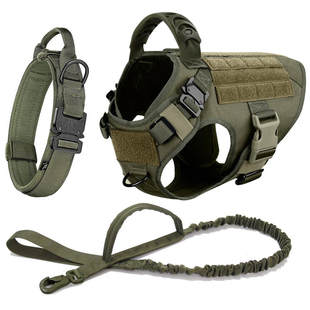 Dog Harness, Walking Vest  And Leash Set