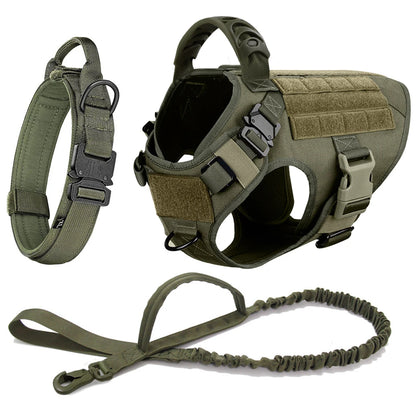 Dog Harness, Walking Vest  And Leash Set