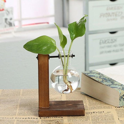 Glass Terrarium Hydroponic Vases