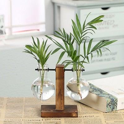 Glass Terrarium Hydroponic Vases