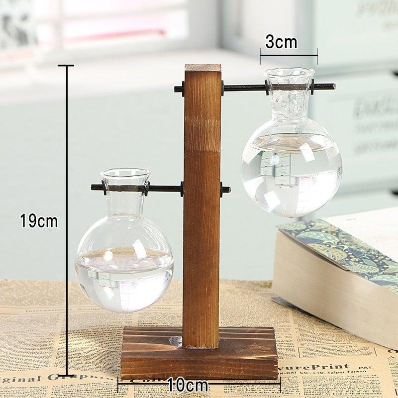 Glass Terrarium Hydroponic Vases