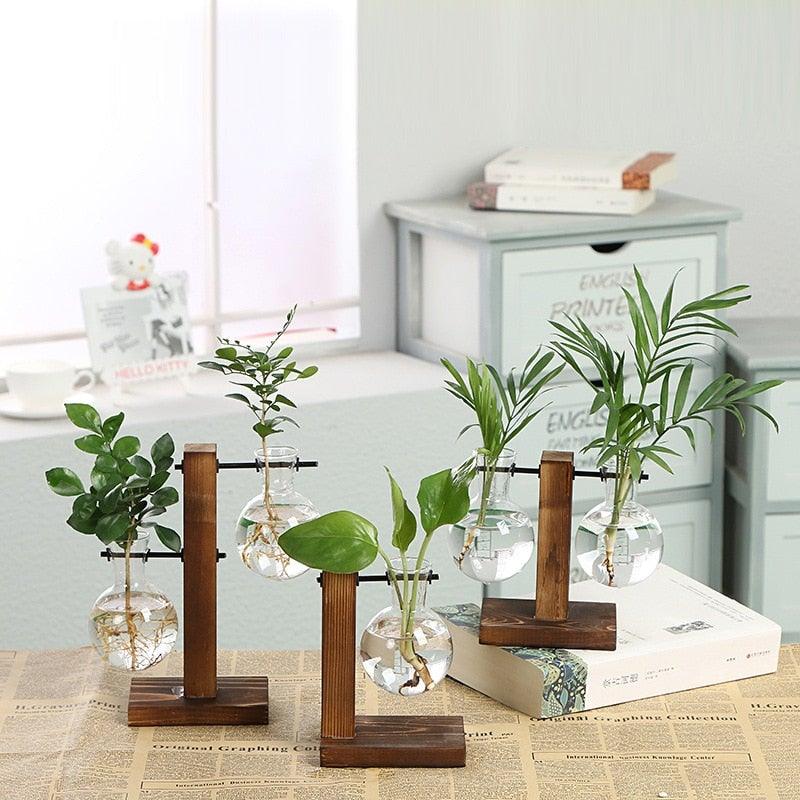 Glass Terrarium Hydroponic Vases