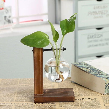 Glass Terrarium Hydroponic Vases