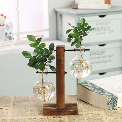 Glass Terrarium Hydroponic Vases