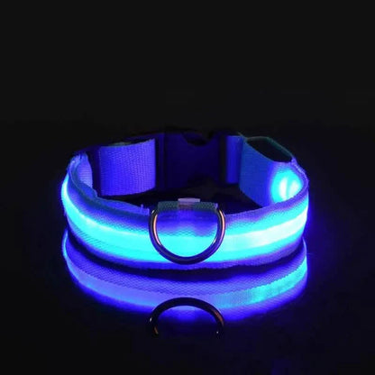 Adjustable LED Dog Collars
