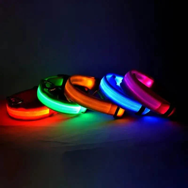 Adjustable LED Dog Collars