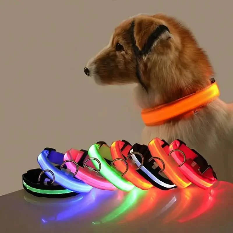 Adjustable LED Dog Collars