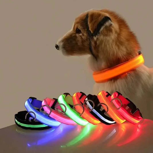 Adjustable LED Dog Collars
