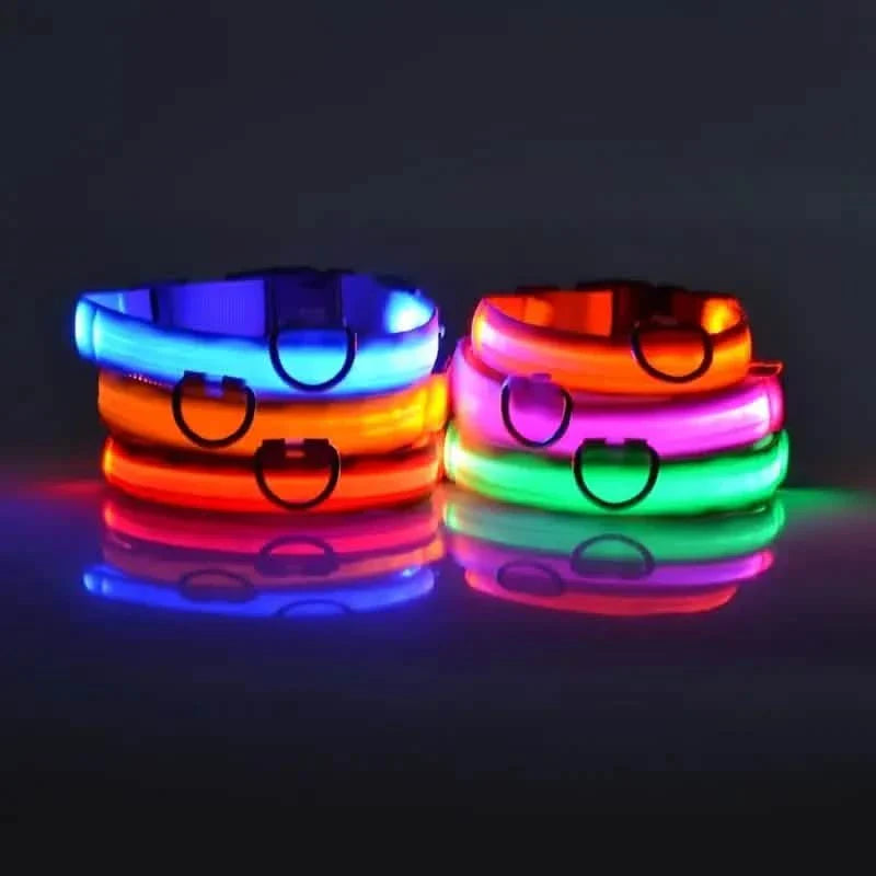 Adjustable LED Dog Collars