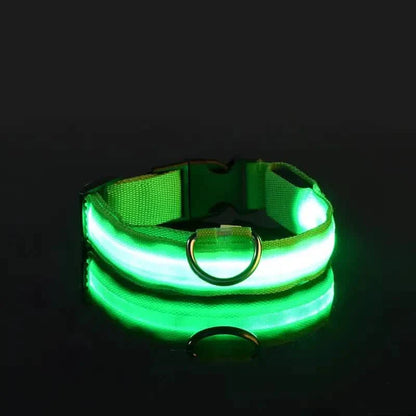 Adjustable LED Dog Collars