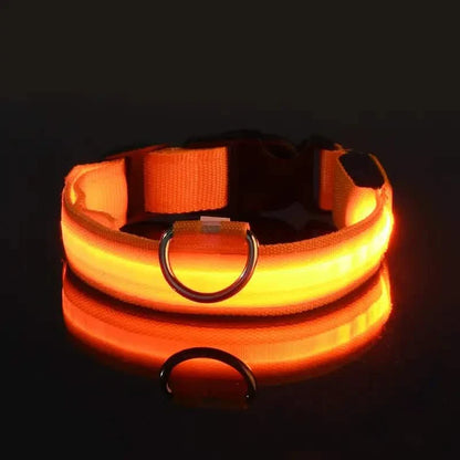 Adjustable LED Dog Collars