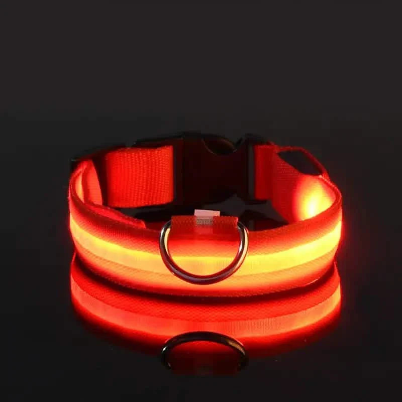 Adjustable LED Dog Collars