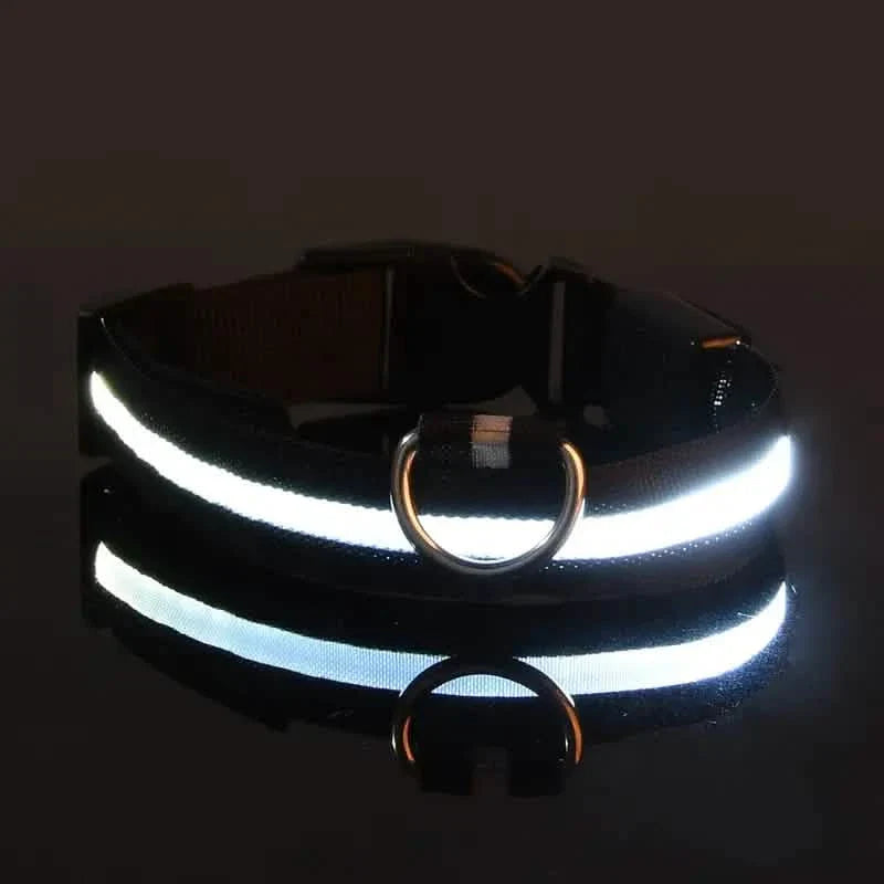 Adjustable LED Dog Collars