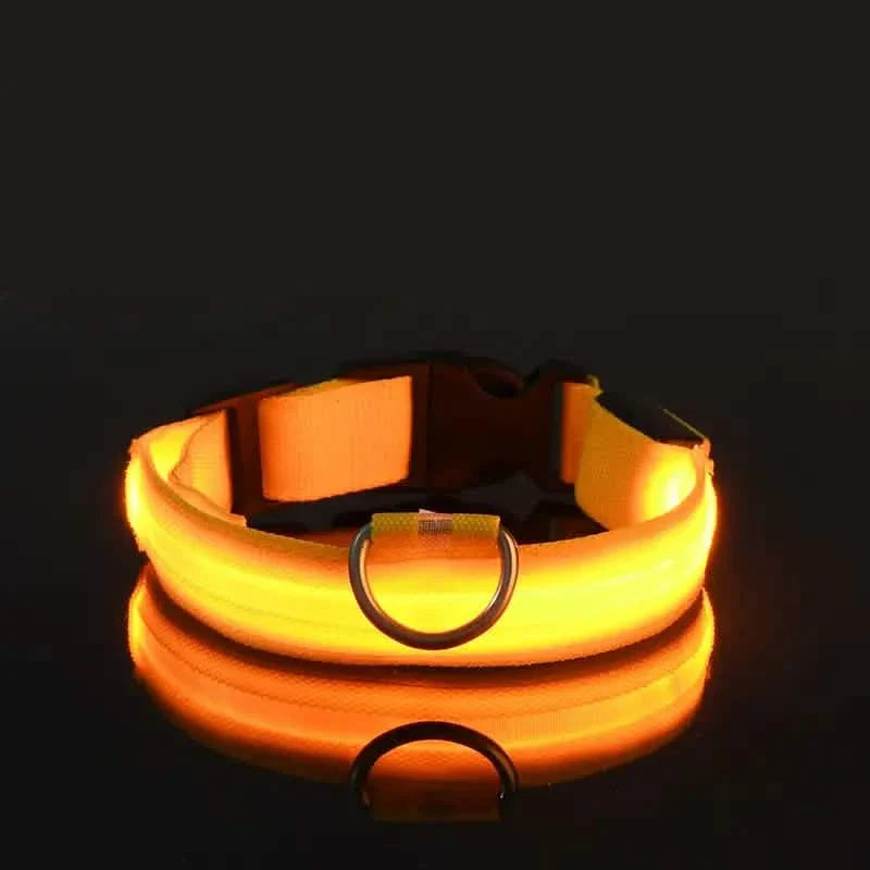 Adjustable LED Dog Collars