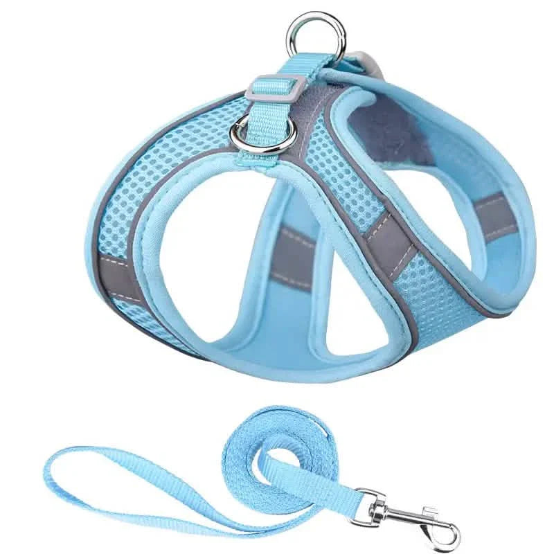 Reflective Dog Harness with Leash