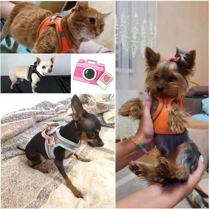 Reflective Dog Harness with Leash