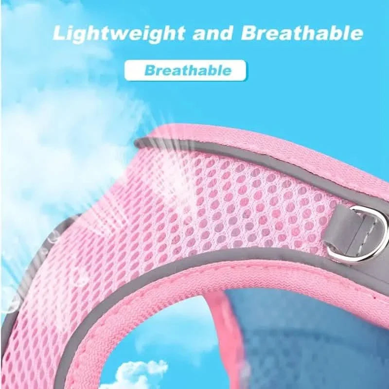 Reflective Dog Harness with Leash