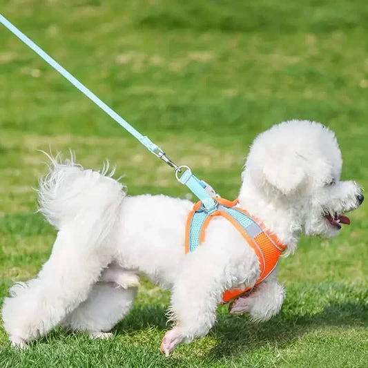 Reflective Dog Harness with Leash