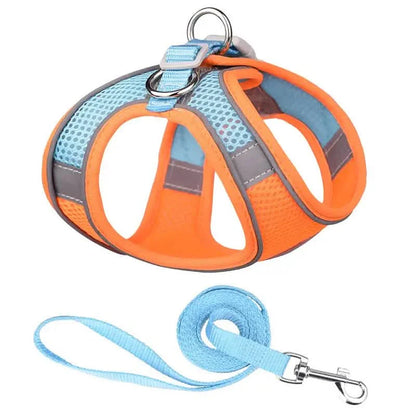 Reflective Dog Harness with Leash